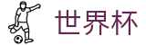 FIFA世界杯中国官方入口 · 官方品牌入口